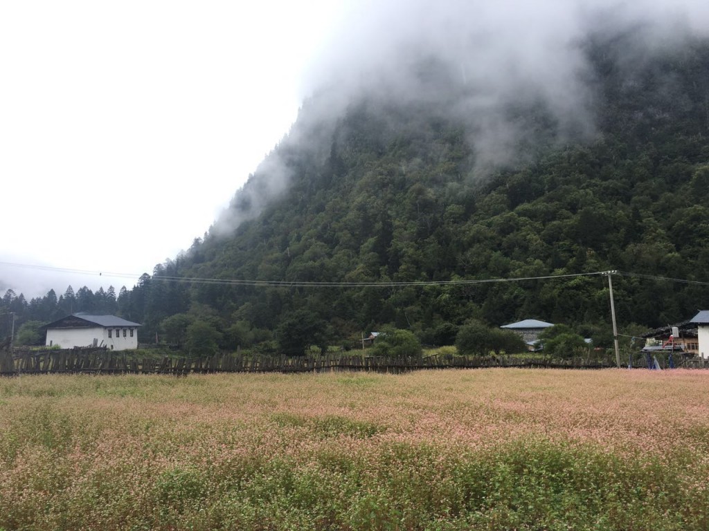 那年那时雨崩神瀑