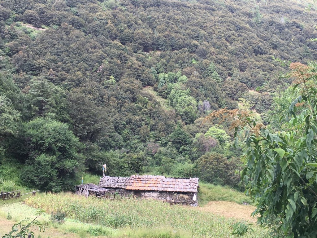 那年那时雨崩神瀑